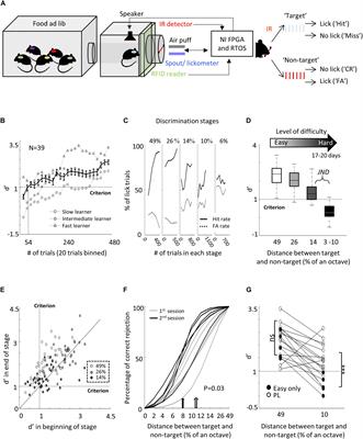 Neural Correlates of Learning Pure Tones or Natural Sounds in the Auditory Cortex